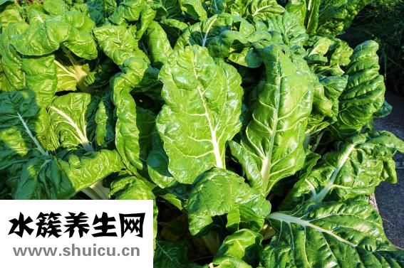 晚上喝檸檬水