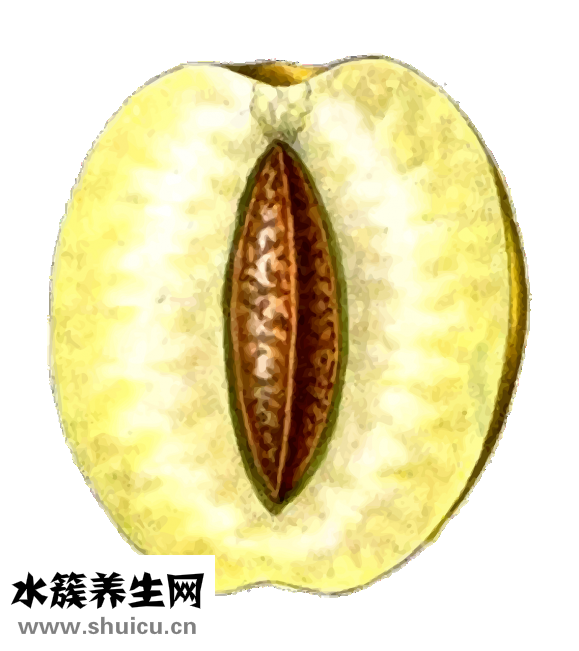 月子怎么補