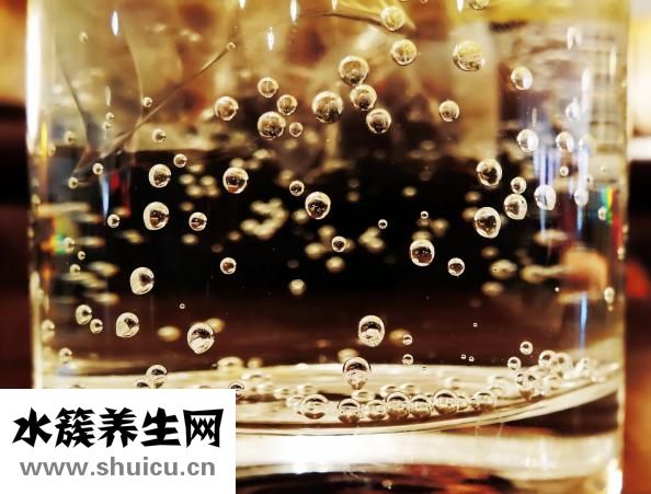 紅棗枸杞黃芪