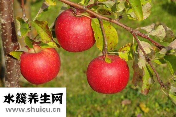 什么是蘋果肌