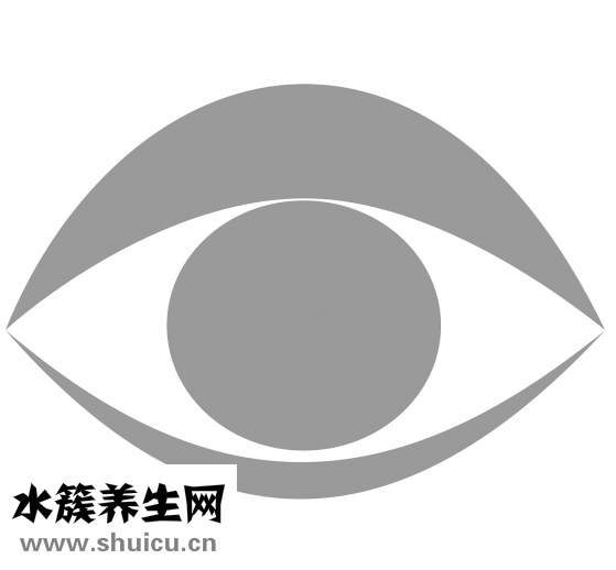 網上測視力