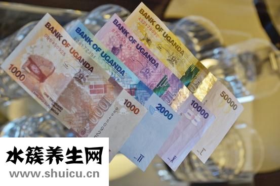 腎穿刺活檢