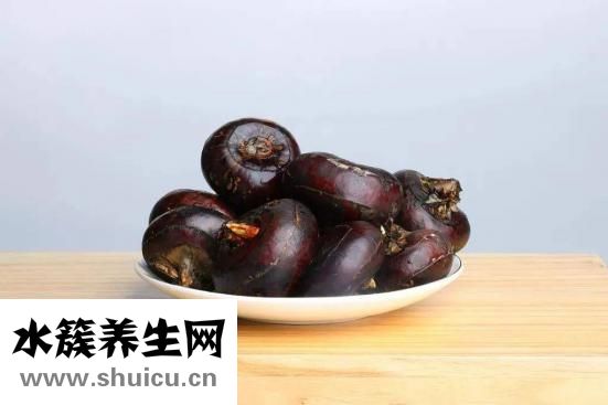 蘇子降氣湯