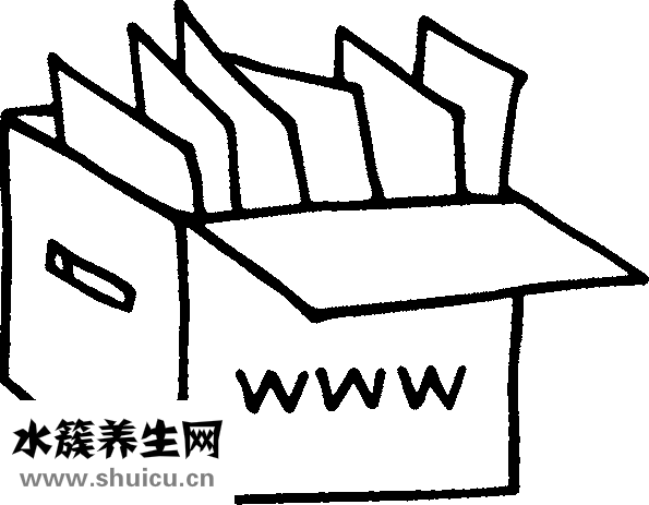 細胞免疫療法