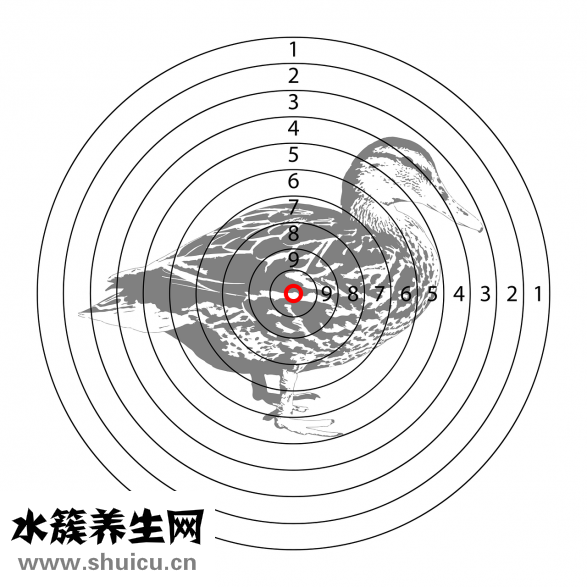 針灸減肥好嗎