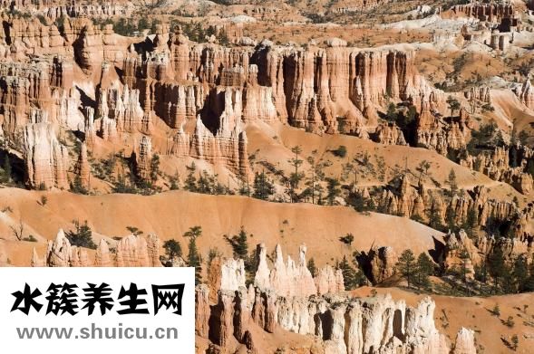 胸如何變大