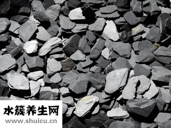 山稔子圖片