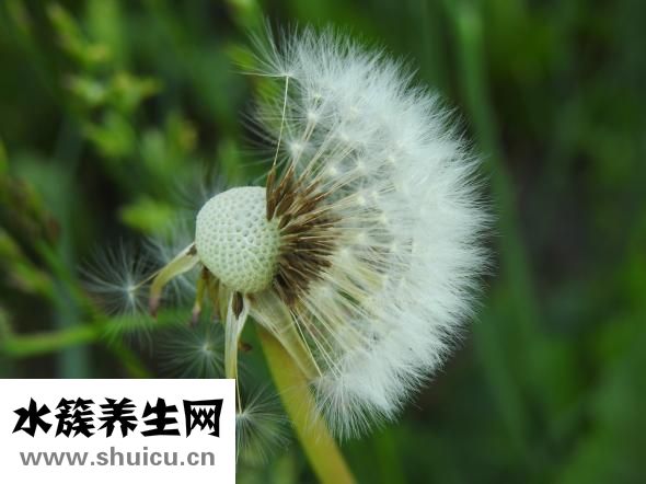 長閉口怎么辦