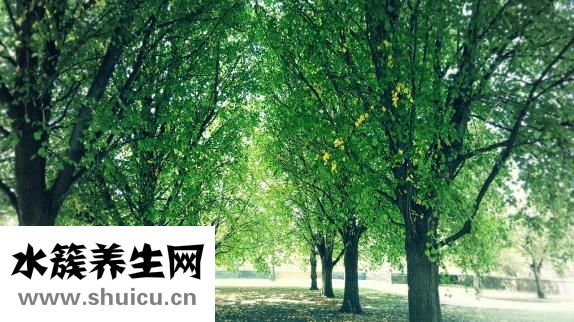 胃脹氣老打嗝