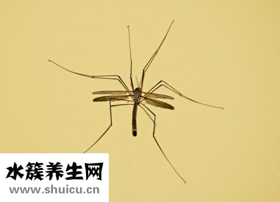 身上發冷是什么原因