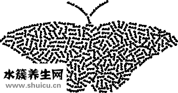 眼型的種類