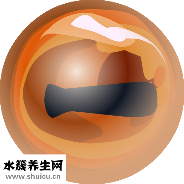 有弱視眼鏡嗎