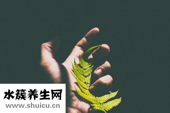 直腸癌的治療
