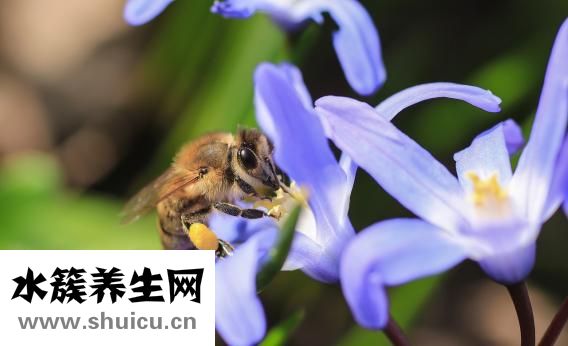 身上發冷是什么原因