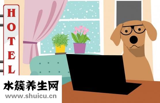 田七痛經膠囊