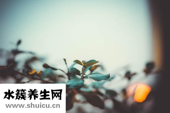 膝蓋下方疼痛