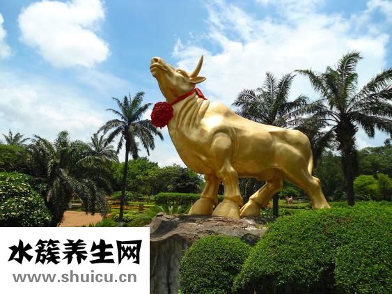 椰子肉能吃嗎