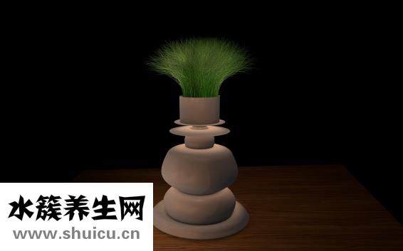 血管堵塞嚴重嗎