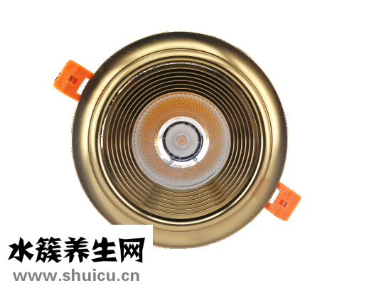 鹽酸胺碘酮片