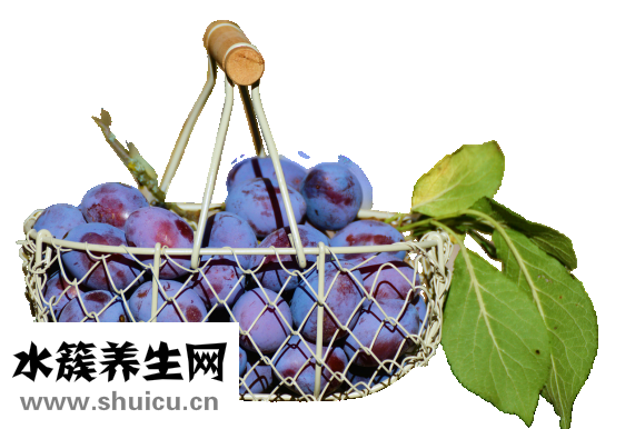 羊油怎么煉