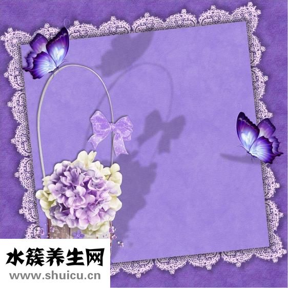 隱形矯正牙齒