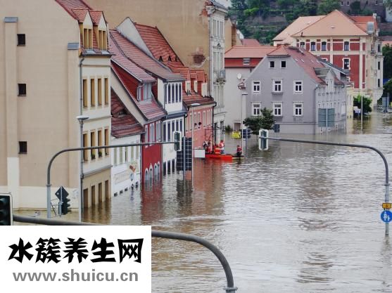 胃里反酸水
