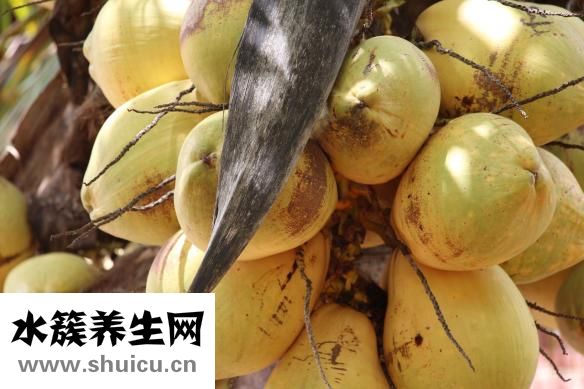 海帶湯怎么做