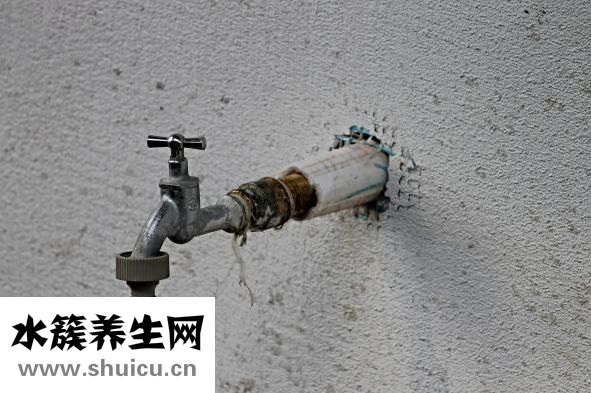 海帶湯怎么做