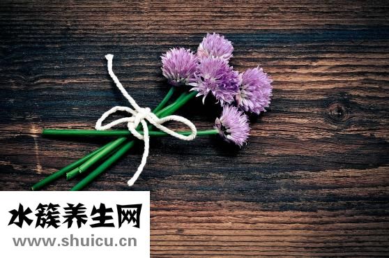 怎樣補腎陽虛