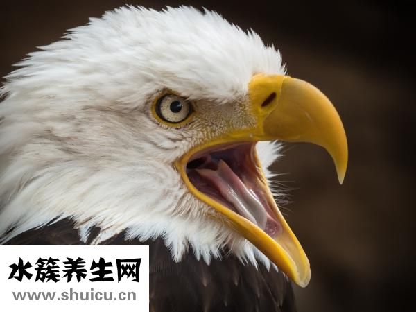 長閉口怎么辦