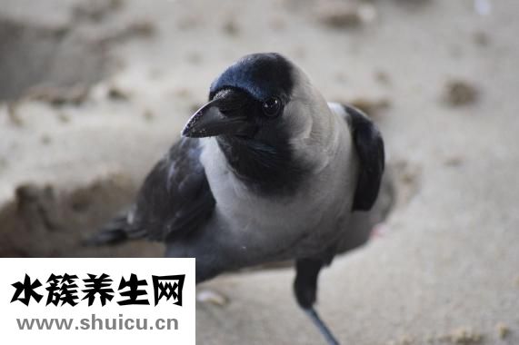 長閉口怎么辦