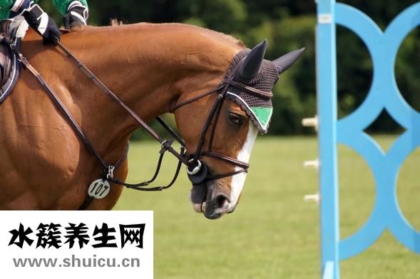 西麥燕麥片