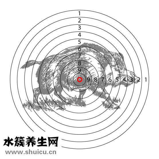 針灸減肥好嗎