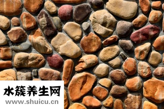 透明眼鏡框