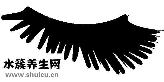 貼假睫毛技巧