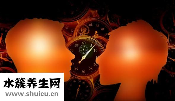 素炒圓白菜