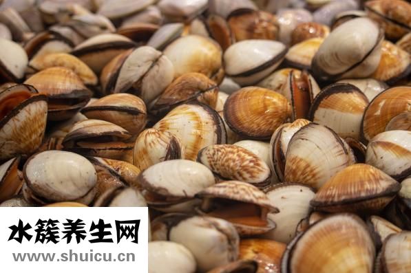 蝦是海鮮嗎