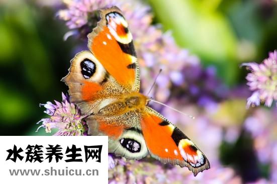 牙上有黑點