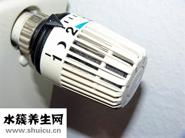 胰島素促泌劑