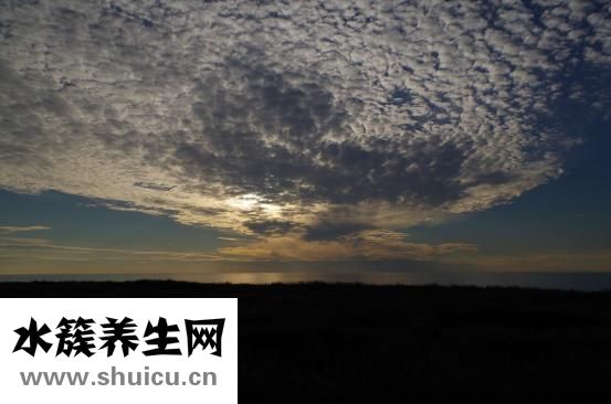 腎結石的危害