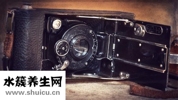 牙齦瘤圖片