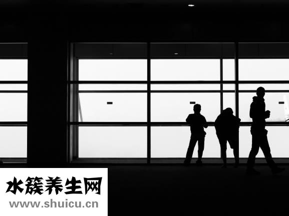 逍遙丸的成分