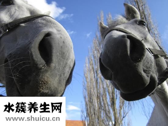 鼻子有異味