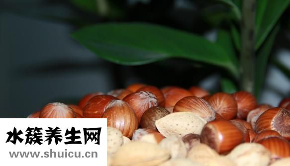 黑豆水怎么煮