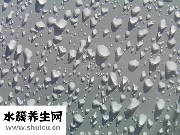 維生素滴劑