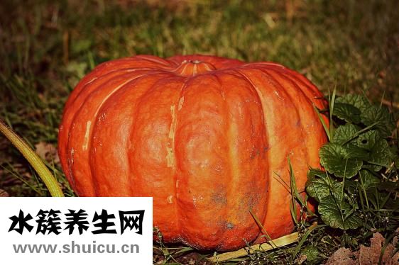 早飯做法大全