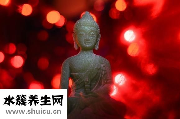 逍遙丸的成分
