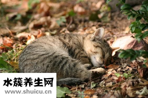 牙上有黑點