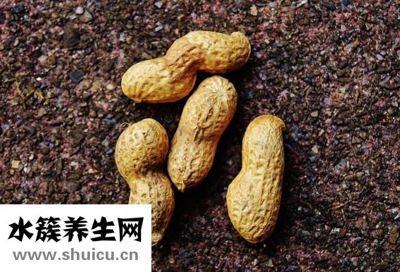 黑豆水怎么煮