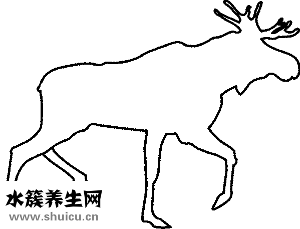 生長曲線圖